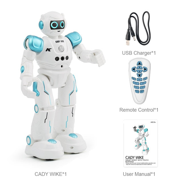 Intelligent RC Humanoid Gesture Robot For Children Birthday Christmas Gift