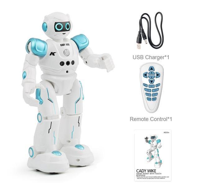 Intelligent RC Humanoid Gesture Robot For Children Birthday Christmas Gift